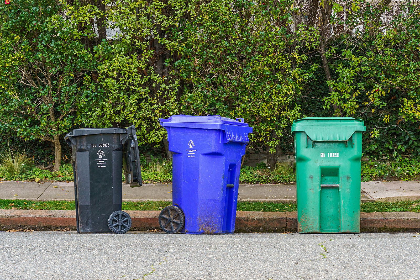 Recycling bins lined up on the street ready for collection